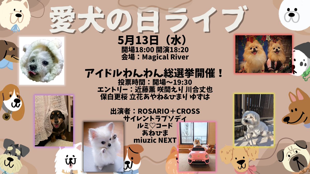 愛犬の日ライブ
